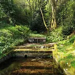 Feriehus A Casa Dos Avos Es Una Casa De Piedra De 1850 Con Piscina Y En Plena Naturaleza En Galicia Vilarino (A Coruna)