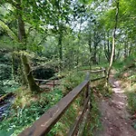 A Casa Dos Avos Es Una Casa De Piedra De 1850 Con Piscina Y En Plena Naturaleza En Galicia Feriehus *