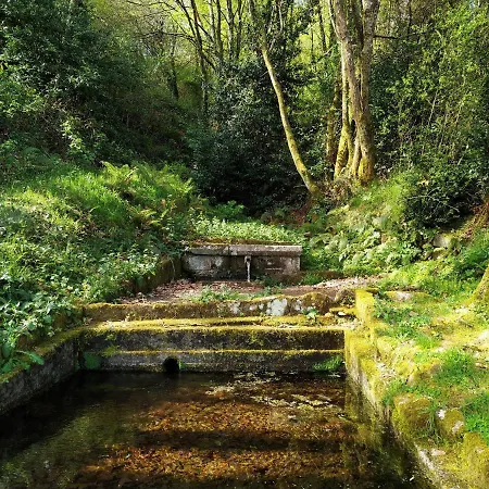Casa vacanze A Casa Dos Avos Es Casa De Piedra De 1850 Con Piscina Y En Plena Naturaleza En Galicia La Coruña