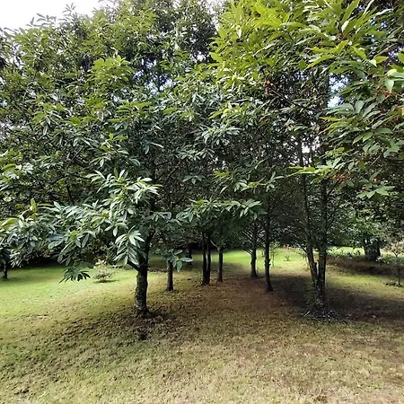 A Casa Dos Avos - Vilarino - A Coruna Nyaraló Vilarino (A Coruna)
