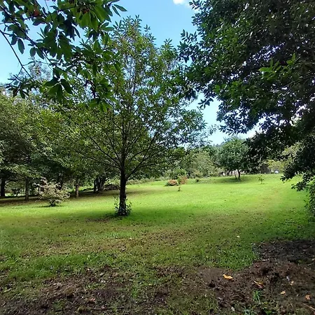 Сasa de vacaciones A Casa Dos Avós - Vilariño - A Coruña