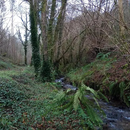 A Casa Dos Avos Es Casa De Piedra De 1850 Con Piscina Y En Plena Naturaleza En Galicia * A Coruña