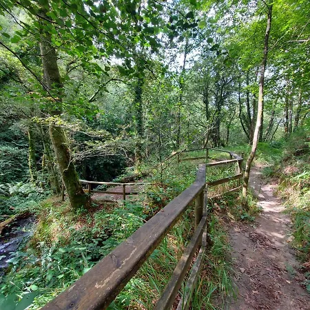 A Casa Dos Avos Es Casa De Piedra De 1850 Con Piscina Y En Plena Naturaleza En Galicia Feriehus *