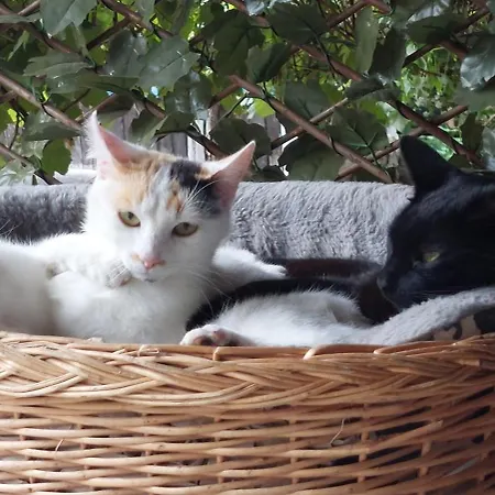 A Casa Dos Avos - Vilarino - A Coruna Vilarino (A Coruna)