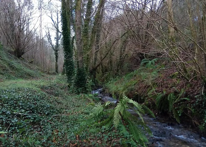 A Casa Dos Avos Es Una Casa De Piedra De 1850 Con Piscina Y En Plena Naturaleza En Galicia * Vilarino (A Coruna)