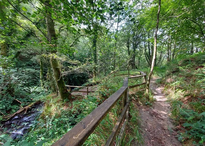A Casa Dos Avos Es Una Casa De Piedra De 1850 Con Piscina Y En Plena Naturaleza En Galicia Holiday home *