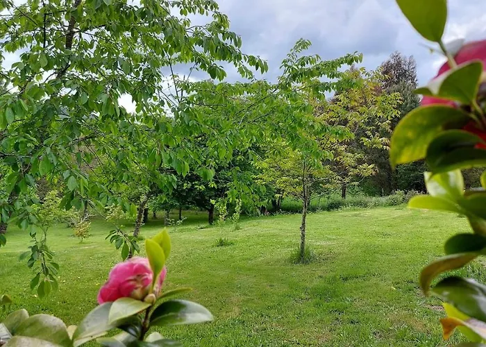 A Casa Dos Avos Es Una Casa De Piedra De 1850 Con Piscina Y En Plena Naturaleza En Galicia Holiday home