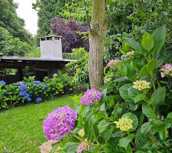 Holiday home A Casa Dos Avos Es Una Casa De Piedra De 1850 Con Piscina Y En Plena Naturaleza En Galicia